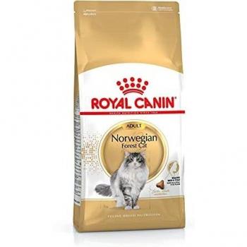 Royal Canin Comida para gatos Bosque De Noruega 10 Kg