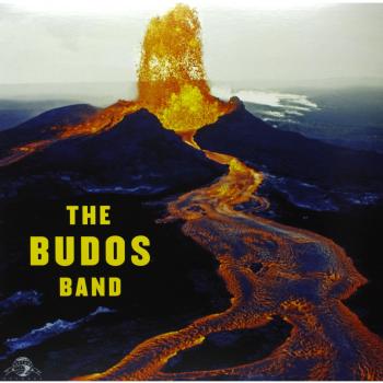 Budos Resistance Training Band