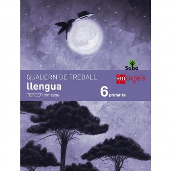 Quadern de llengua. 6 Primària, 3 Trimestre. Saba - 9788467579475