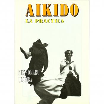 Aikido - la practica