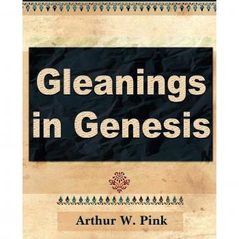 Genesis Insights: Volume I by Arthur W. Pink
