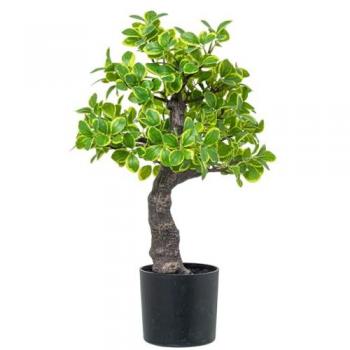 Planta Decorativa Euonymus 45 cm de Plástico - Alexandra House Living