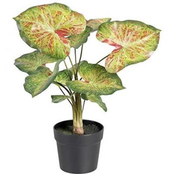 Planta Decorativa PVC Rojo Verde 48 X 46 X 55 Cm - Maceta