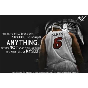 LeBron James Poster On Silk <53cm x 35cm, 21inch x 14inch> - Cartel de Seda - 79E6F9