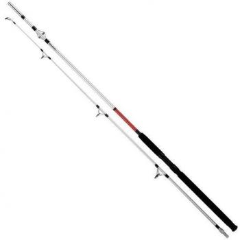 Caña pesca en mar Daiwa Sensor, 3M00