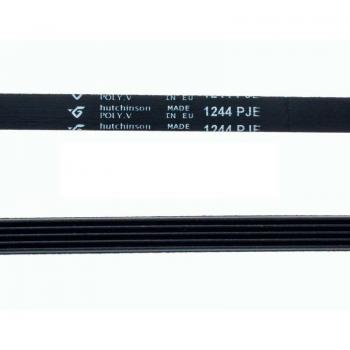 Correa Lavadora 1244 PJE