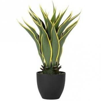 Planta Artificial Agave Atenuata 50x50x60 cm para Decoración de Hogar y Oficina
