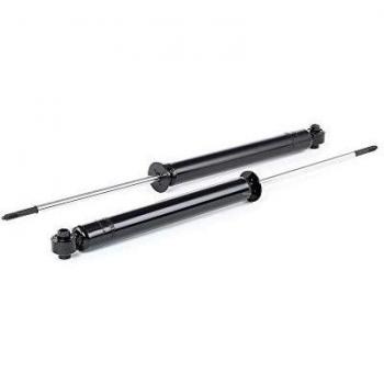 Ridex 854S1529 Amortiguador
