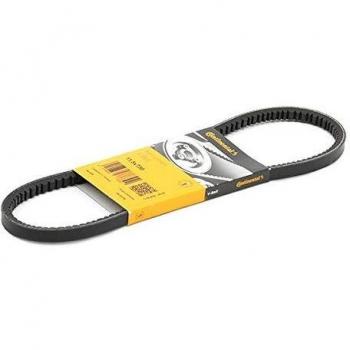 CONTITECH 11.5X730 Correa