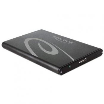DeLOCK 42523 - Disco duro en red