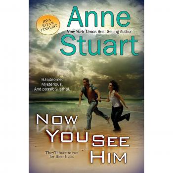 Now You See Him: A Romantic Suspense Novel by Anne Stuart