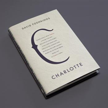 David Foenkinos - Charlotte - Novela contemporánea y emocional