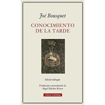 Conocimiento de la tarde (POESÍA