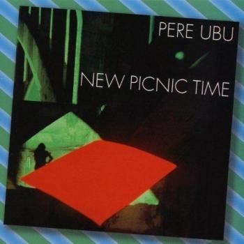 New Picnic Time [Vinilo]
