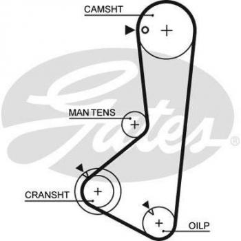 Correa dentada GATES Timing Belt 5254XS, tipo de producto: correa dentada, características: longitud de 525 mm, número de dientes: 54, ancho: 25 mm, material: goma reforzada con fibra