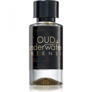 Luxury Concept Oud Underwater Intense Eau de Parfum 50 ml Unisex