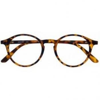 DIDINSKY Gafas de Lectura UFFIZI Havana +1.00 1ud