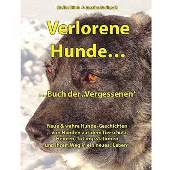 Verlorene Hunde...Buch der Vergessenen: Neue & wahre Hunde-Geschichten / Band 2