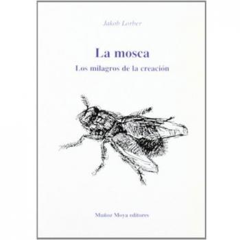 La mosca. los milagros de la creacion
