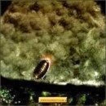 Armadillidium Vulgare