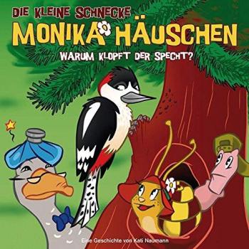 26: Warum Klopft der Specht?