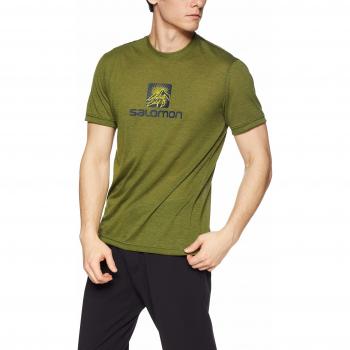 Salomon Explore Graphic SS tee T-Shirt, Hombre, Avocado, XL