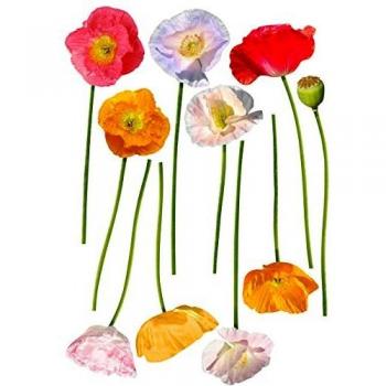 Plage Decoración Mural Adhesiva con Diseño Flores Al Borde del Camino, Vinilo, Multicolor, 48x3x68 cm