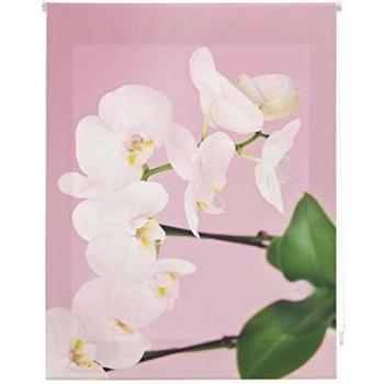 Homeflex Storalia - Estor Digital Salon Peace - Enrollable - 140X250 cm - Disponible en Varias Medidas
