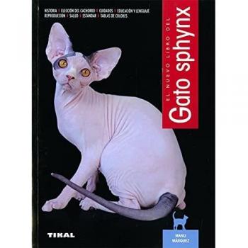 El Gato Sphynx