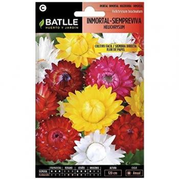 Semillas de Flores - Inmortal Siempreviva Flor de Papel variada - Batlle