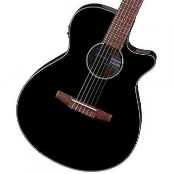 Ibanez AEG50N Black High Gloss Electro-Classical Nylon Guitar