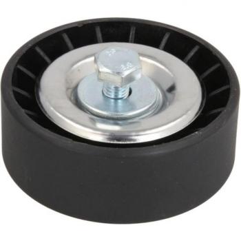 Polea tensora correa acanalada en V BTA E2W6307BTA Tensor de correa poli V BTA E2W6307BTA