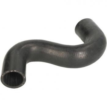 Manguera del radiador THERMOTEC DWP101TT - Tubería de radiador, alta resistencia térmica, fabricada en material de calidad, compatible con diversos modelos de vehículos, diseño optimizado para flujo de refrigerante eficiente