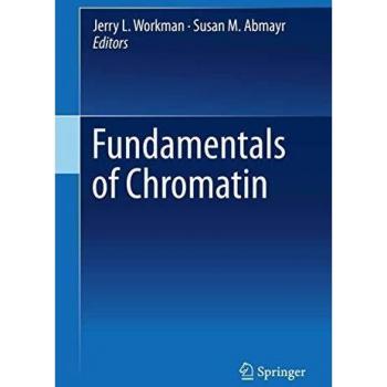 Chromatin Fundamentals: Essential Insights into Structure and Function