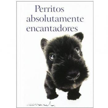 Perritos absolutamente encantadores