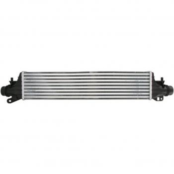 Intercooler THERMOTEC DAX036TT - Enfriador de aire para turbocompresores