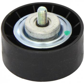 Polea tensora/guía DAYCO APV1091 para correa trapezoidal y poli V