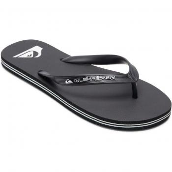 Chanclas Quiksilver Molokai Core