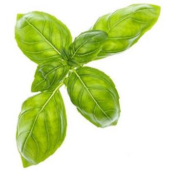 Semillas de Albahaca Tregren, 2 Pods de Cultivo