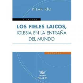 Fieles Laicos Iglesia En La Entraﾥa Del: Reflexión teológica sobre la identidad eclesial de los laicos en un tiempo de nueva evangelización