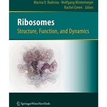 Ribosomes Structure, Function, and Dynamics