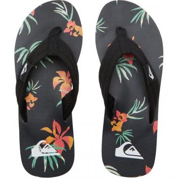 Sandalias de hombre Molokai Layback Quiksilver