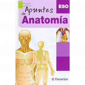 Apuntes de Anatomía