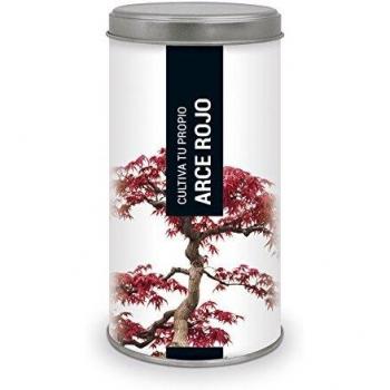 Garden Pocket - Kit de Cultivo Bonsái Arce Rojo