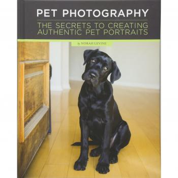Pet Photography: Unlocking the Secrets to Creating Connection with Authentic Pet Portraiture