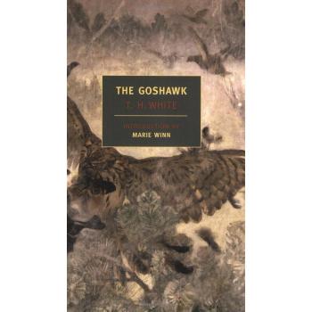 The Goshawk