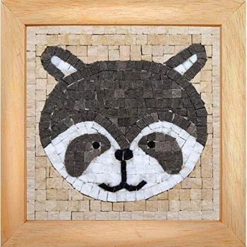 Trois petits points Mosaic Box Raccoon Face-GEANT, 6192459602547, Universal