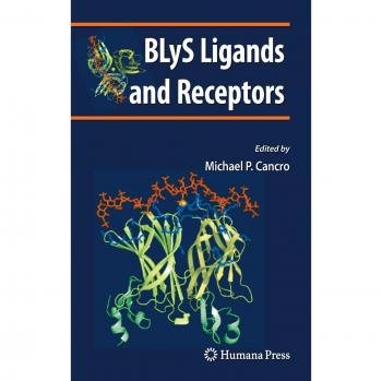 BLyS Ligands and Receptors: A Comprehensive Guide to Contemporary Immunology