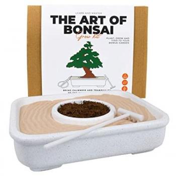 Bonsai Tree Growth Kit - The Art of Bonsai Cultivation