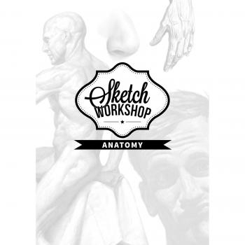 Taller de Dibujo: Anatomía